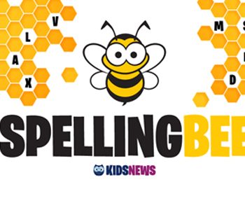 spelling-bee-1.jpg